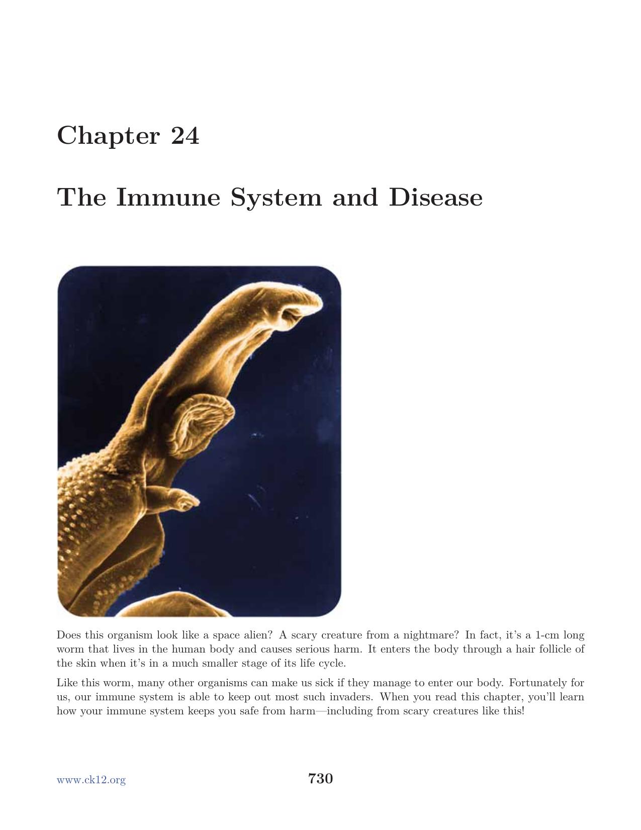 Biology : chapter 24